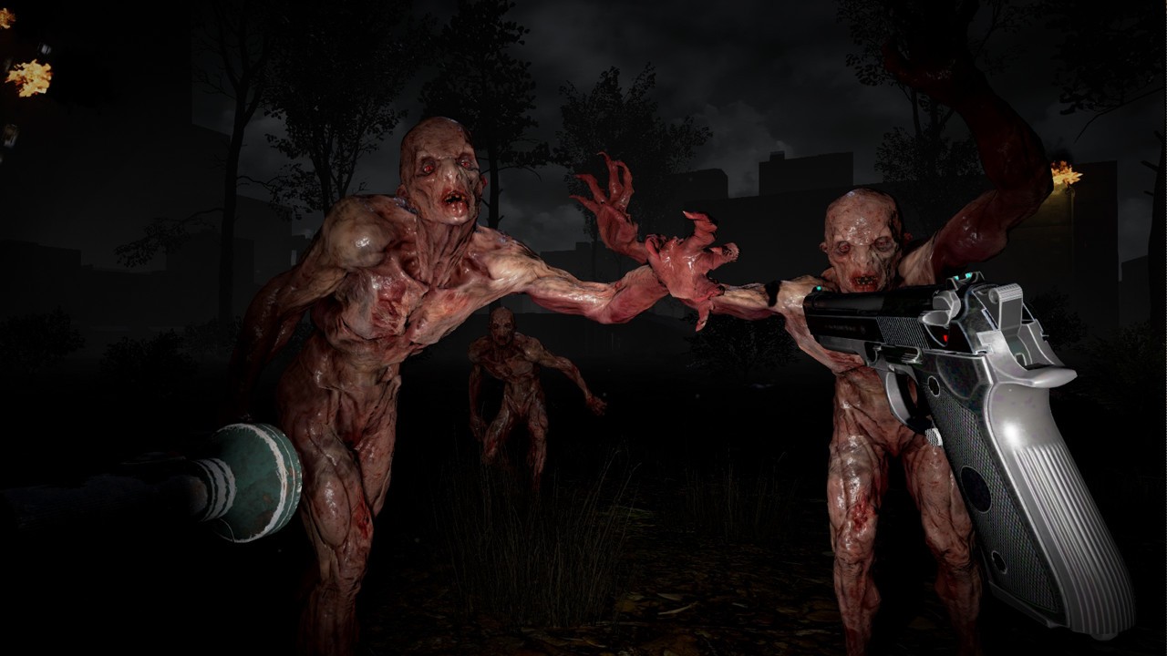 The Brookhaven experiment