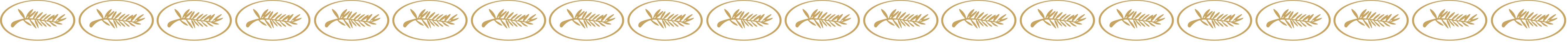 Festival de cannes palme