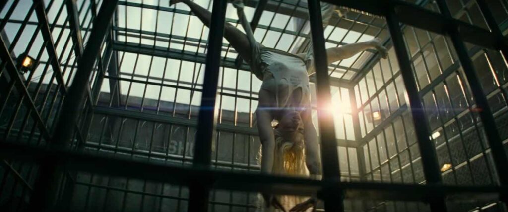 Harley Quinn - Screenshoot - Trailer #1