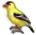 Les_Sims_4_icone_oiseau
