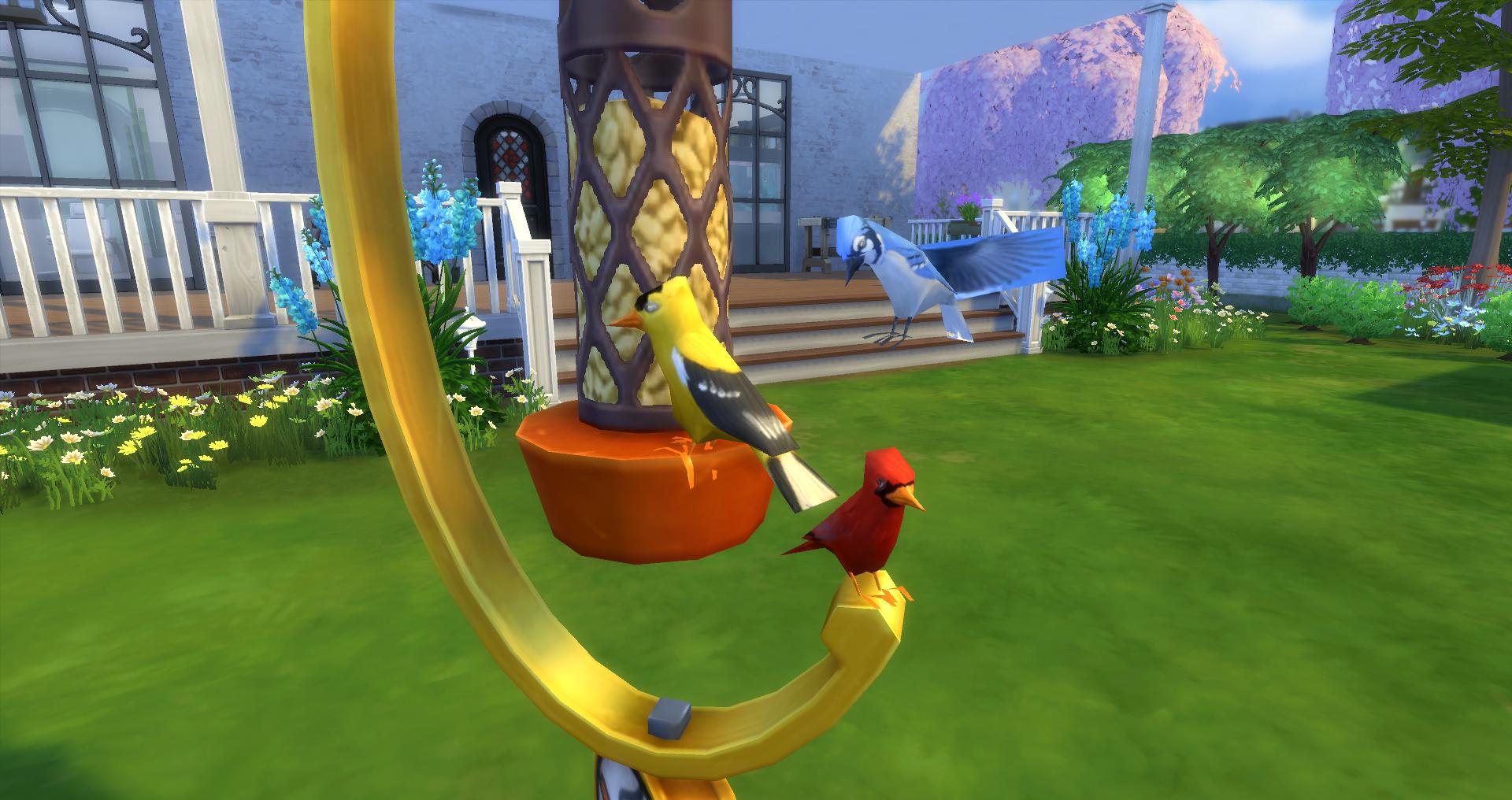 les sims 4 en plein air