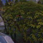 Les Sims 4 vampires yeux rouges