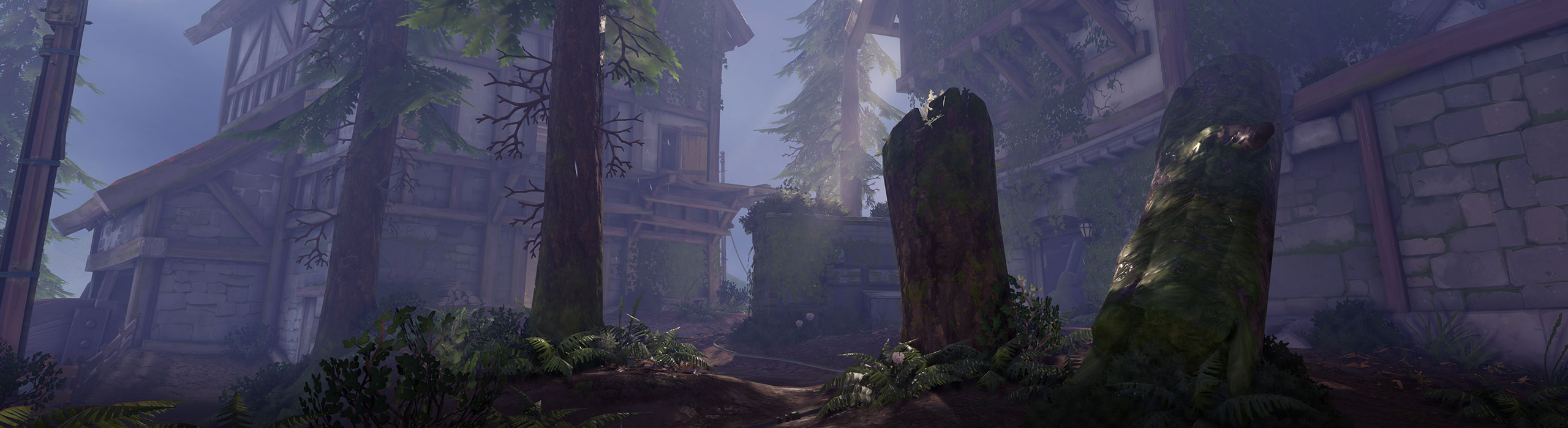 overwatch_forêt_noire