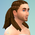 Les_Sims_4_Fitness