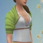 les_sims_4_fitness