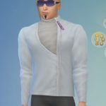 les_sims_4_fitness
