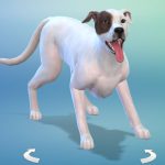 Les_sims_4_chiens_chats