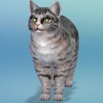 Les_sims_4_chiens_chats