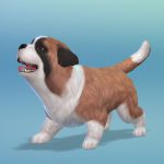 Les_sims_4_chiens_chats