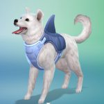Les_sims_4_chiens_chats