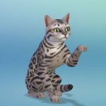 Les_sims_4_chiens_chats