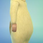 les_sims_4_premier_animal_compagnie