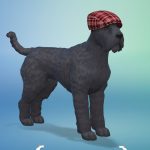 les_sims_4_premier_animal_compagnie