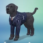 les_sims_4_premier_animal_compagnie