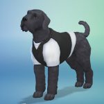 les_sims_4_premier_animal_compagnie
