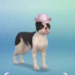 les_sims_4_premier_animal_compagnie