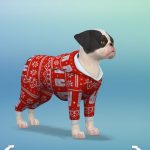 les_sims_4_premier_animal_compagnie