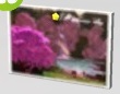 les_sims_4_premier_animal_compagnieles_sims_4_premier_animal_compagnie_carte_postale