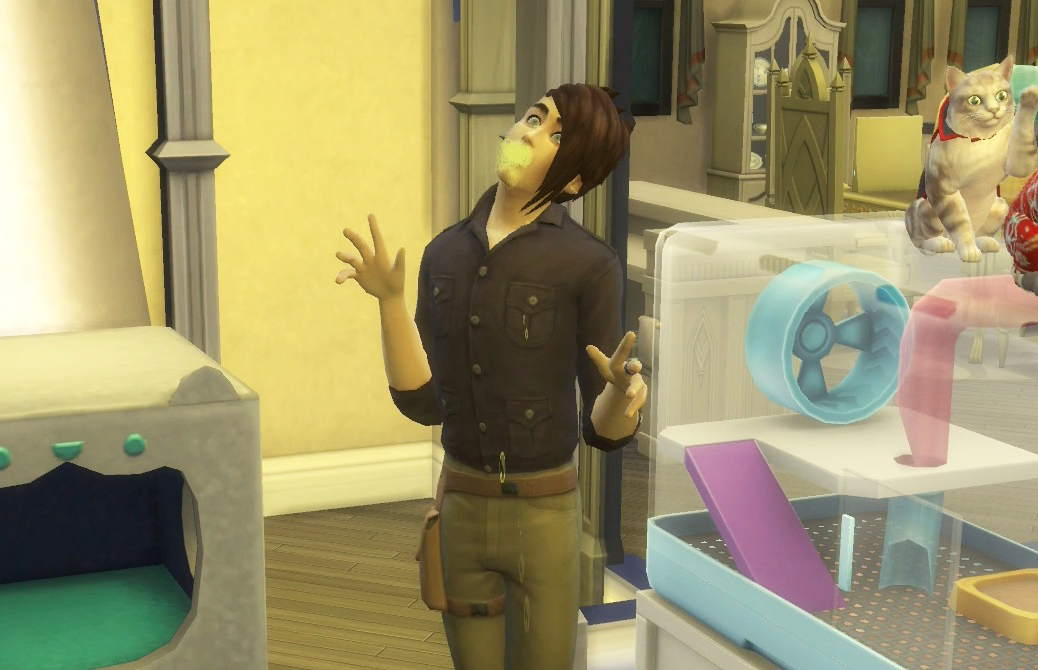 les_sims_4_kit_premier_animal_compagnie