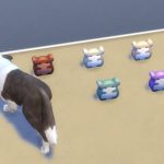 les_sims_4_kit_premier_animal_compagnie
