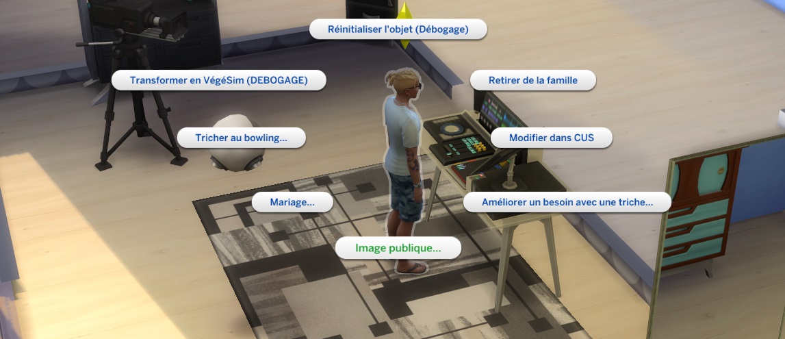 Les Sims 4 HEURE DE GLOIRE code triche cheats