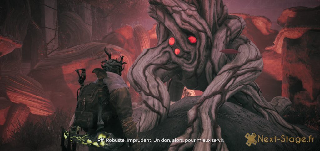 remnant arbre langue sylvestre