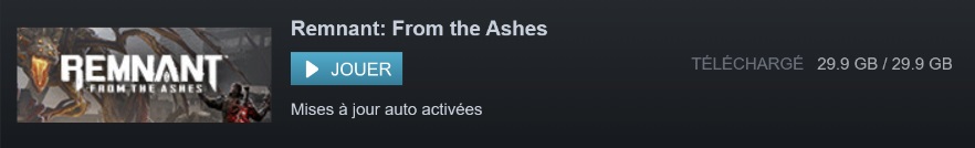 remnant-from-the-ashes-pretéléchargement