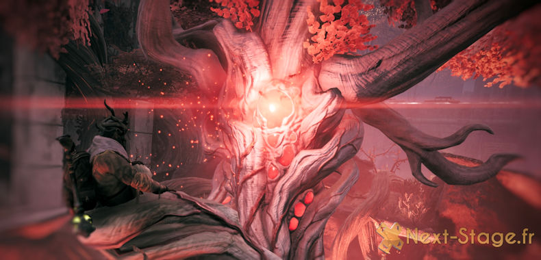 remnant parler arbre