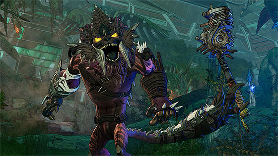 borderlands bonus semaine 4