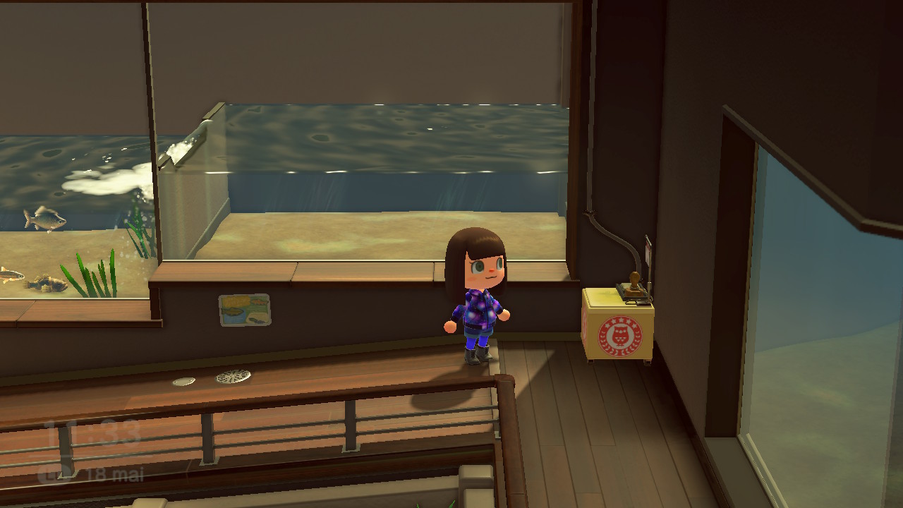 Animal crossing - évènement musée