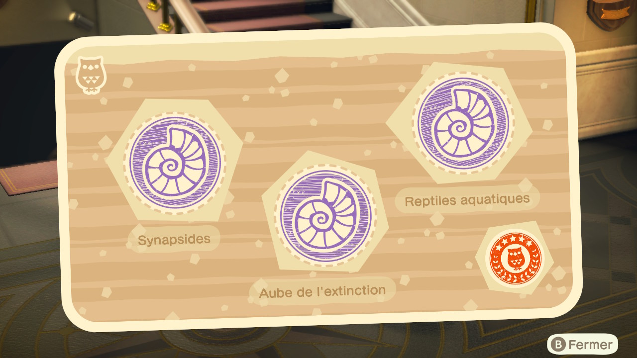 animal crossing musée rallye tampon
