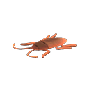 animal_crossing_new_horizons_insectosafari