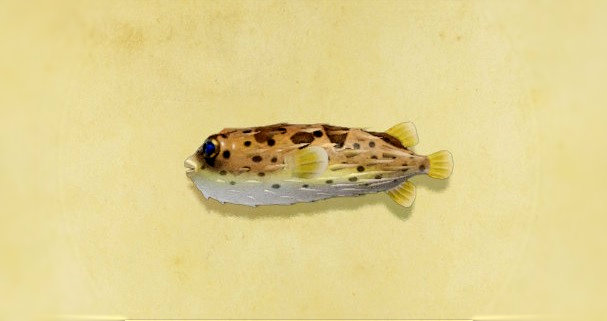 poisson juillet animal crossing new horizons