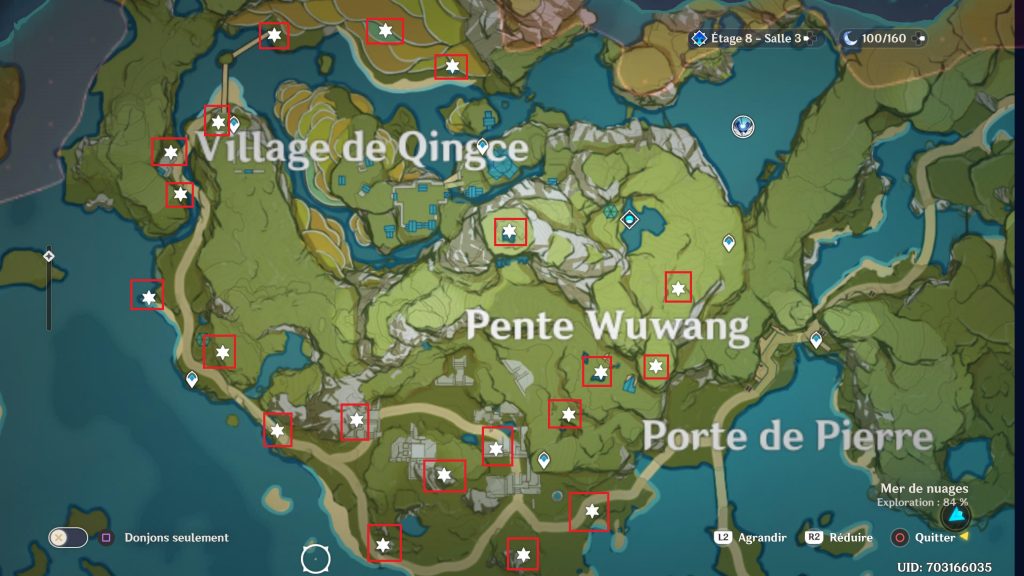 genshin impact astres évanouis village de Q