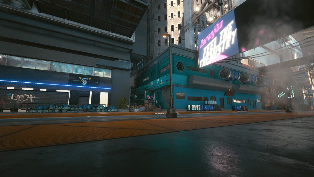 cyberpunk 2077 guide skippy