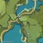 genshin-impact-brutocollinus-étrange-6-porte-de-pierre