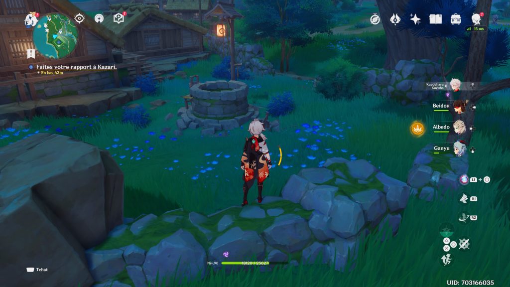 Genshin Impact purification puits