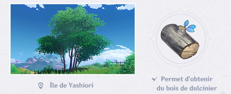 genshin impact bois de dulcinier