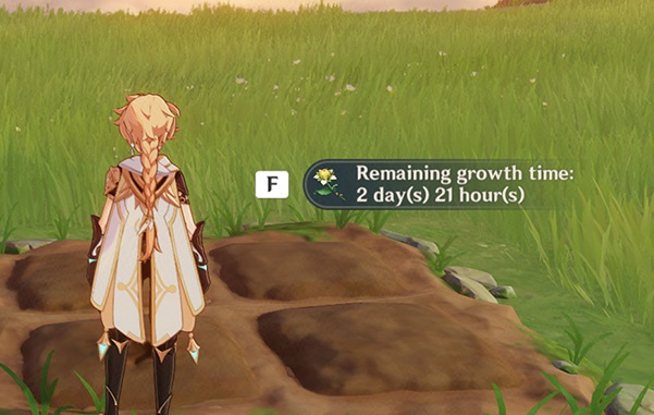 genshin impact récolter plantes