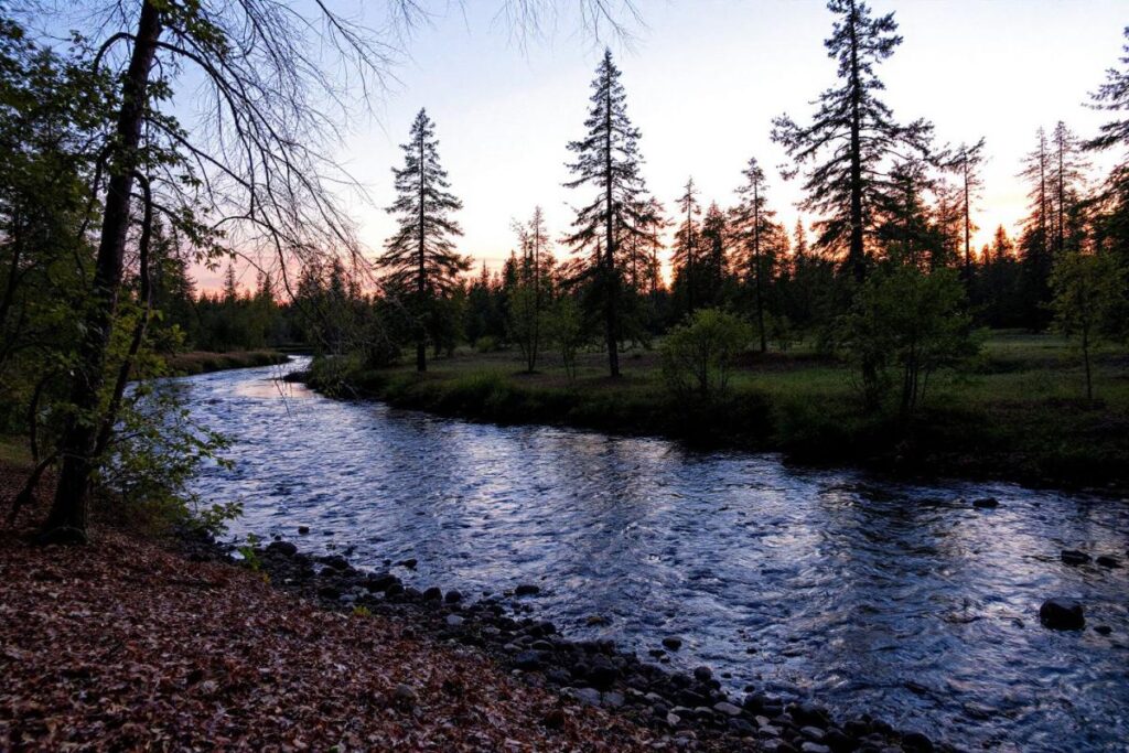 Zelda Ocarina of Time remake : les images de comparaison sont époustouflantes