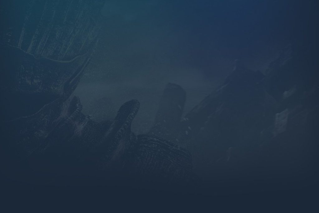 Illustration officielle du jeu Dark Souls