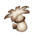 Champignon anémophile, matériau pour monter Barbara dans Genshin Impact