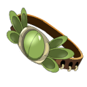 Kwakture de Terre