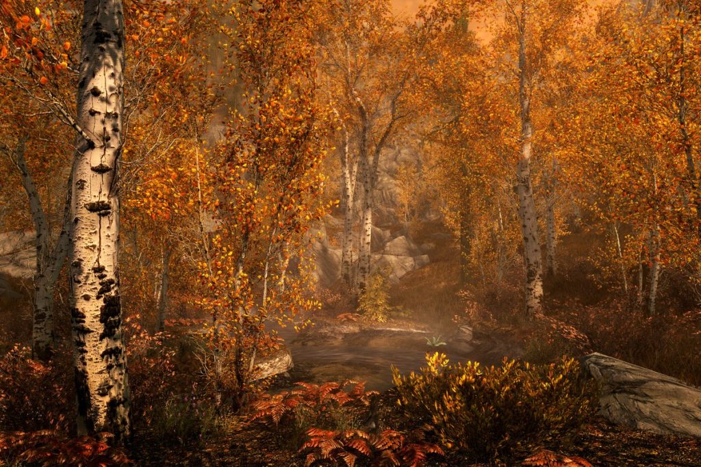 Illustration officielle du jeu The Elder Scrolls V: Skyrim